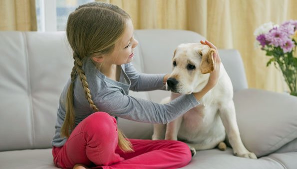 Asthma Erkrankung bei Kindern kann durch Hunde werden