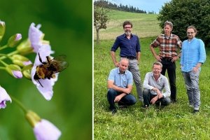 Erste Crowdfunding-Plattform für Biodiversität in der Schweiz laciert
